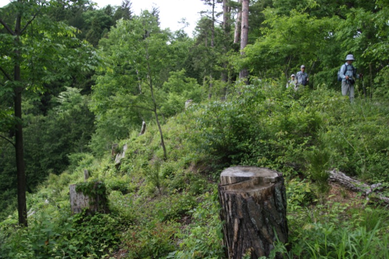 高川山